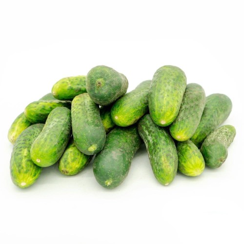 Ogórki ekologiczne gruntowe 1kg #1