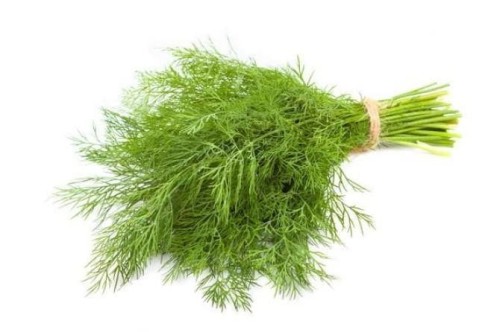 Koperek ekologiczny  35g #1