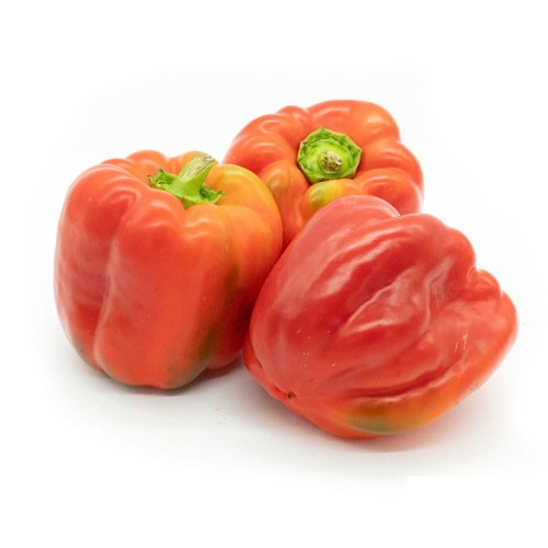 Papryka ekologiczna na przetwory 1kg #1
