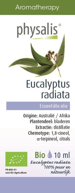 Olejek eteryczny eukaliptus australijski Bio 10ml - Physalis #1