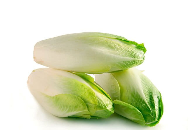 Cykoria ekologiczna #1