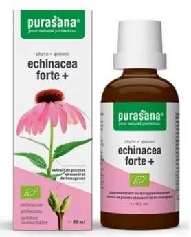 JEŻÓWKA PURPUROWA (ECHINACEA FORTE) KROPLE BIO 50 ml - PURASANA #1