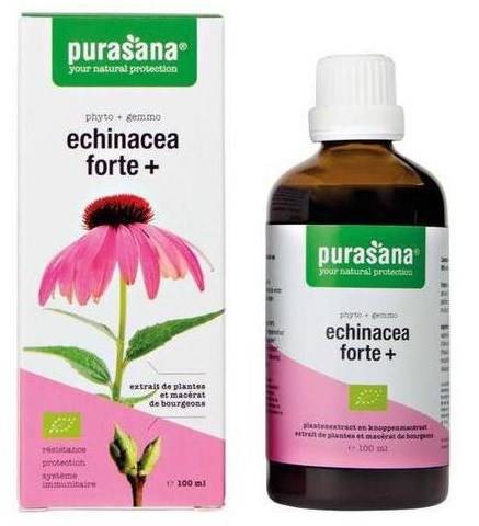 JEŻÓWKA PURPUROWA (ECHINACEA FORTE) KROPLE BIO 100 ml - PURASANA #1