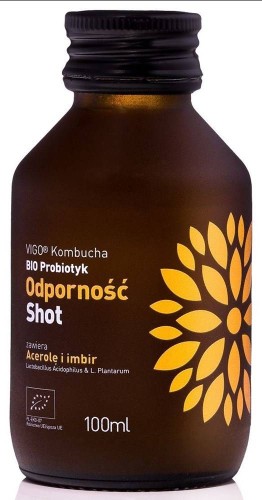 SHOT KOMBUCHA ODPORNOŚĆ BEZGLUTENOWY BIO 100 ml - VIGO #1