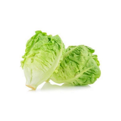 Sałata rzymska ekologiczna 1szt (ok. 0.2kg) #1
