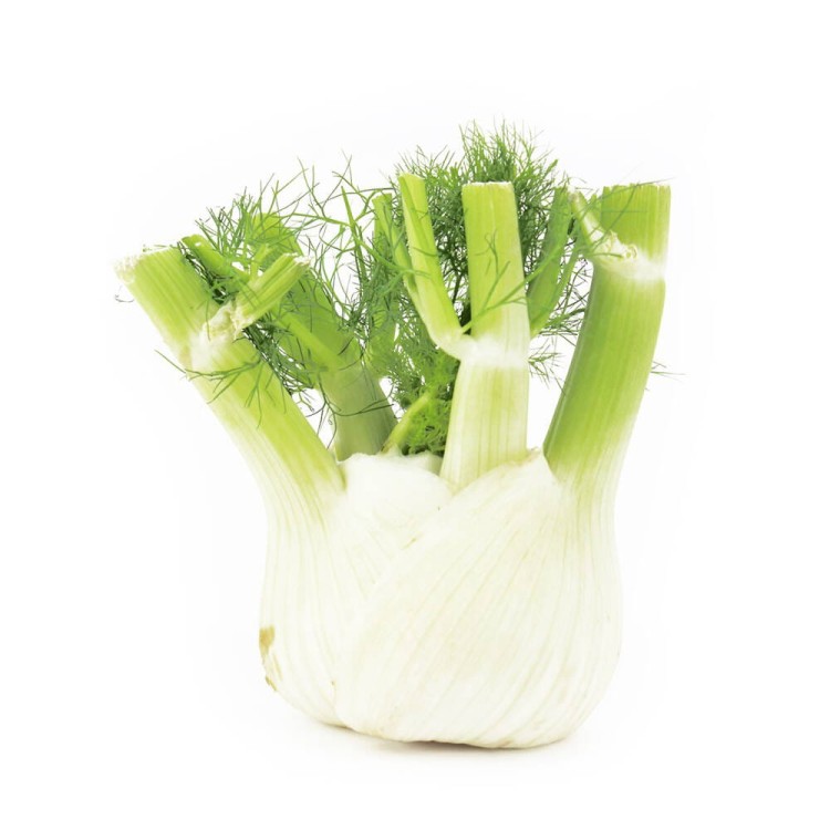 KOPER WŁOSKI ŚWIEŻY (FENKUŁ) BIO (około 0,35 kg) #1