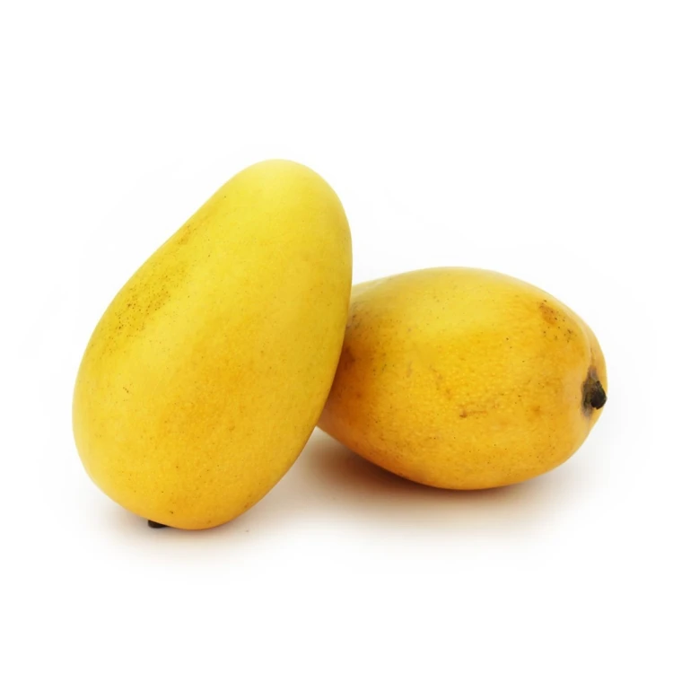 MANGO ATAULFO ŚWIEŻE BIO (około 0,18 kg)
