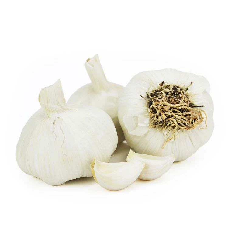 CZOSNEK ŚWIEŻY BIO (około 0,20 kg)