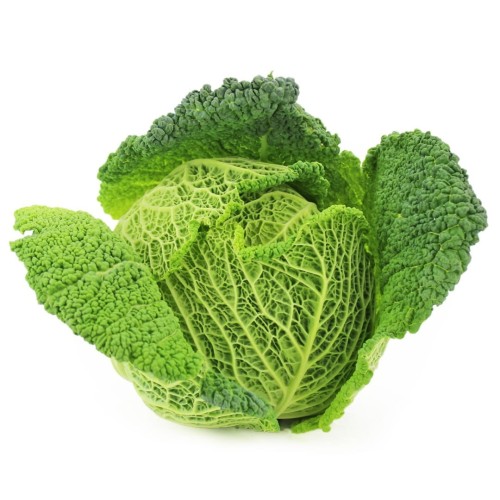 KAPUSTA WŁOSKA ŚWIEŻA BIO (około 0,50 kg)