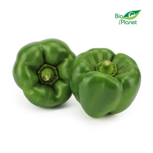 PAPRYKA ZIELONA ŚWIEŻA BIO (około 0,60 kg)