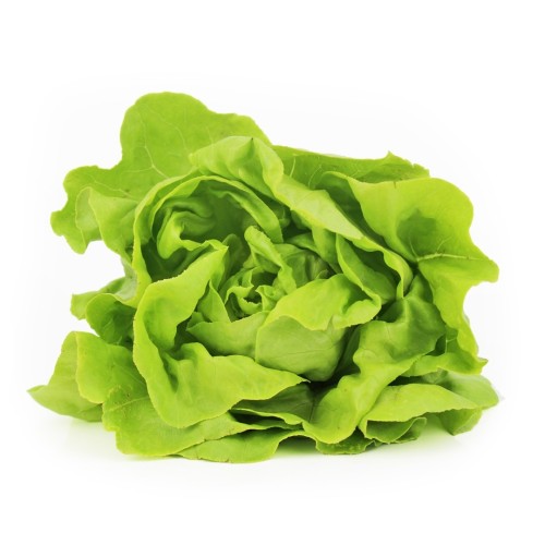 SAŁATA MASŁOWA ŚWIEŻA BIO (POLSKA) (około 0,12 kg)
