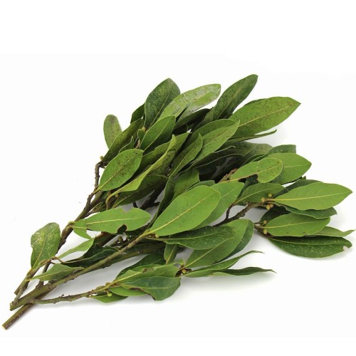 LIŚĆ LAUROWY ŚWIEŻY BIO (około 50 g)