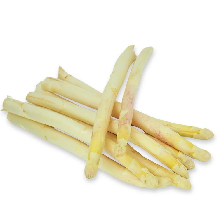 SZPARAGI BIAŁE ŚWIEŻE BIO (około 0,50 kg)
