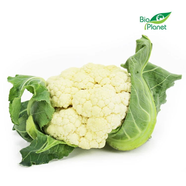KALAFIOR ŚWIEŻY BIO (POLSKA) (około 0,80 kg)