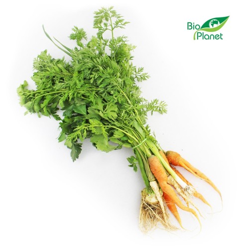 WŁOSZCZYZNA PĘCZEK ŚWIEŻA BIO (POLSKA) (około 0,50 kg)