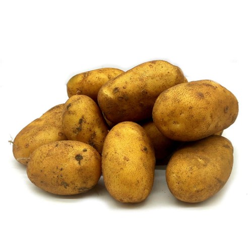 7964.jpg