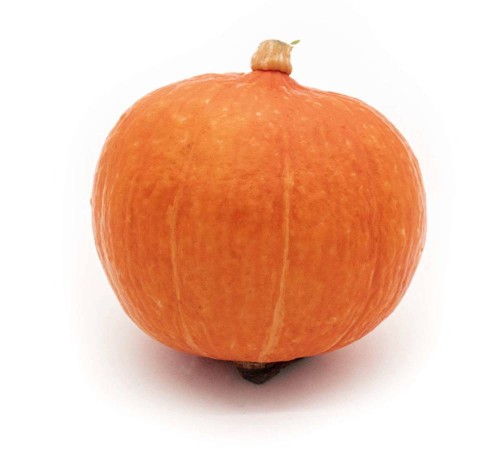 Dynia Hokkaido ekologiczna 1,5kg +  #1