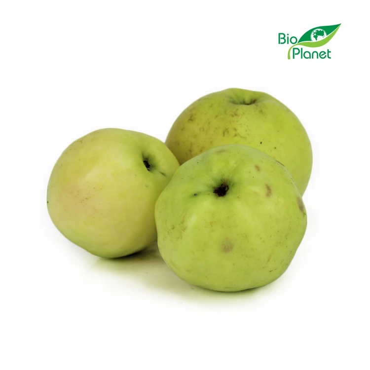 JABŁKA ŚWIEŻE BIO (ANTONÓWKA - POLSKA) (około 1,00 kg)