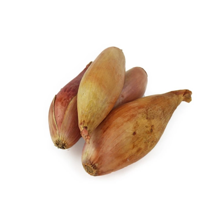 CEBULA SZALOTKA ŚWIEŻA BIO (POLSKA) (około 0,50 kg)