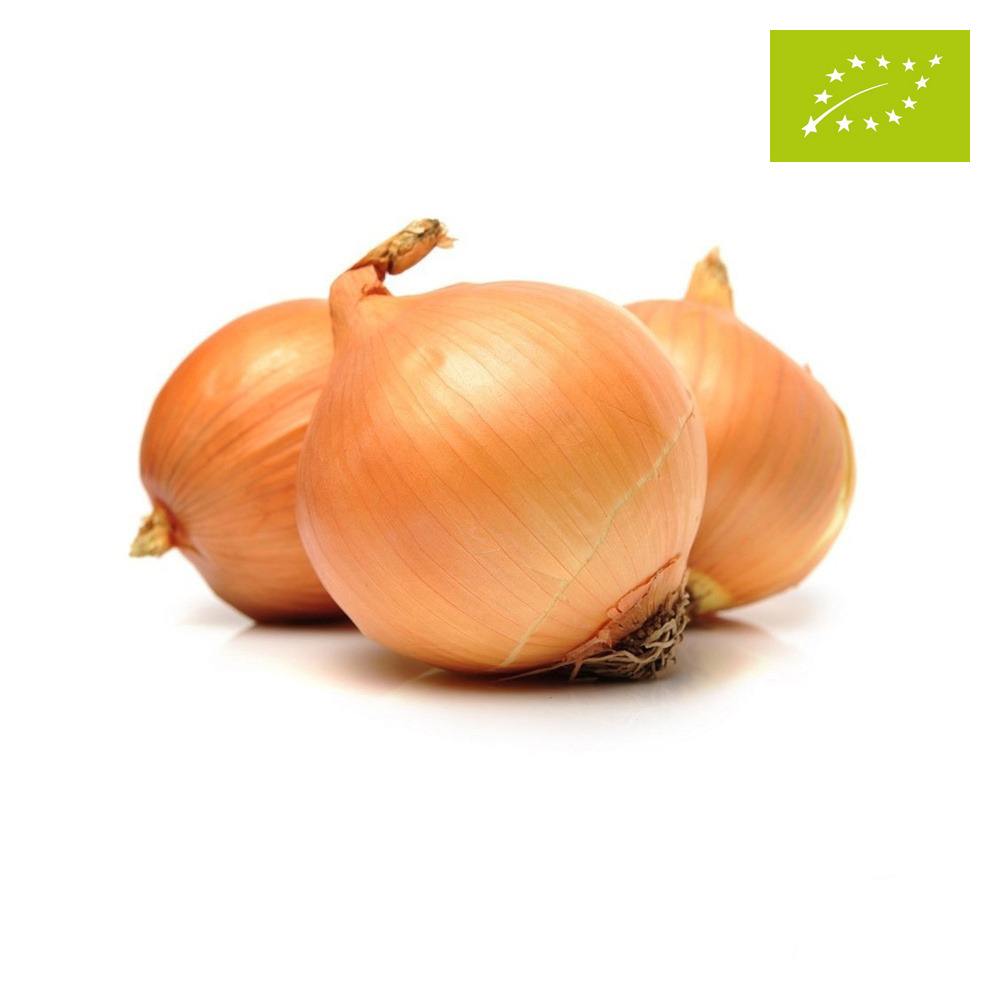CEBULA ŻÓŁTA ŚWIEŻA BIO (około 1,00 kg)