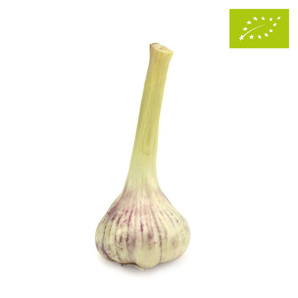 CZOSNEK ŚWIEŻY BIO (POLSKA) (około 100 g)