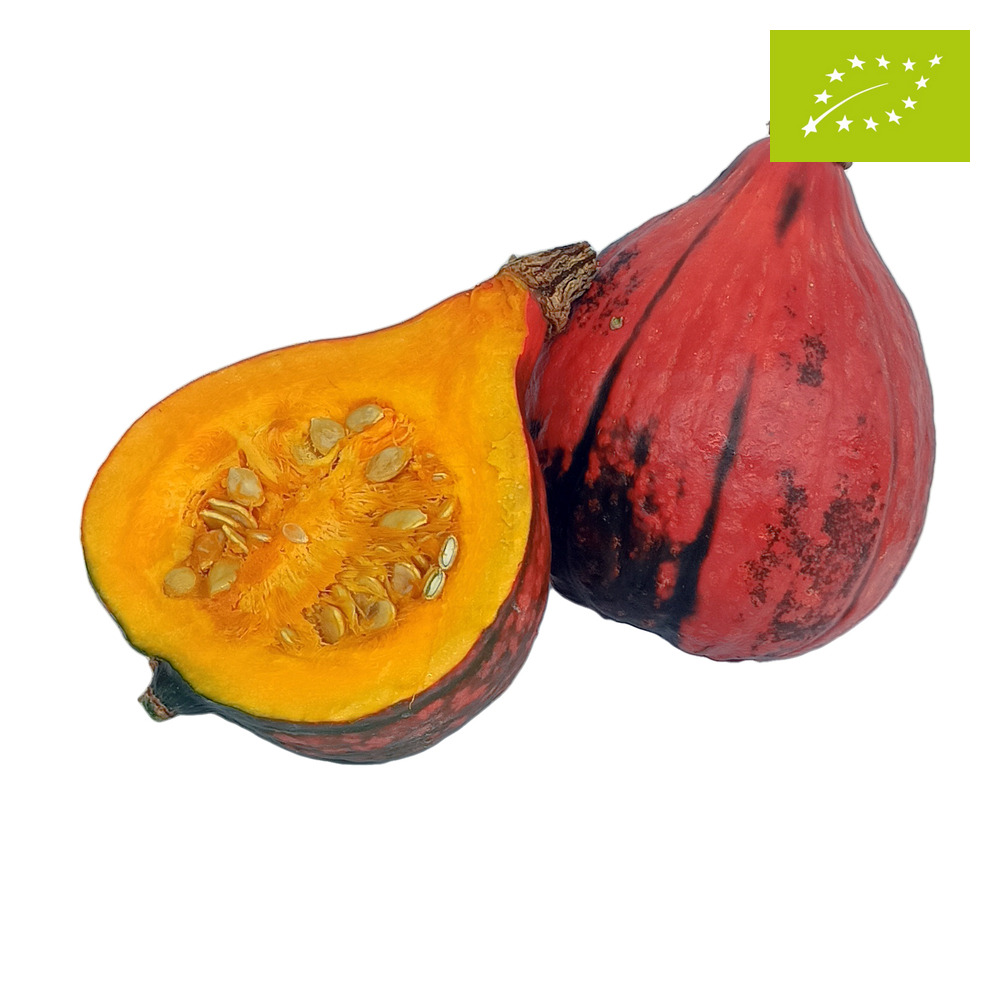 Dynia Hokkaido ekologiczna ok. 500g-800g (II klasa)