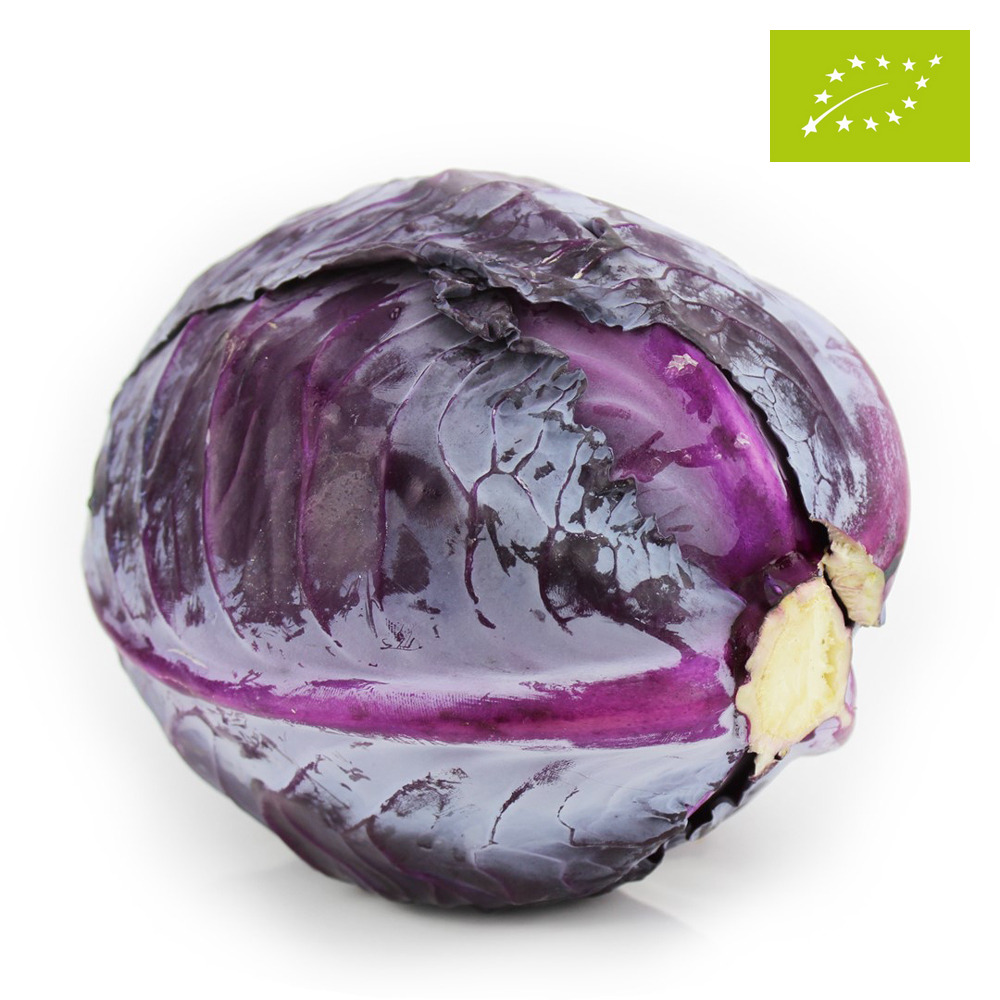 KAPUSTA CZERWONA ŚWIEŻA BIO (ok. 1.5 kg)
