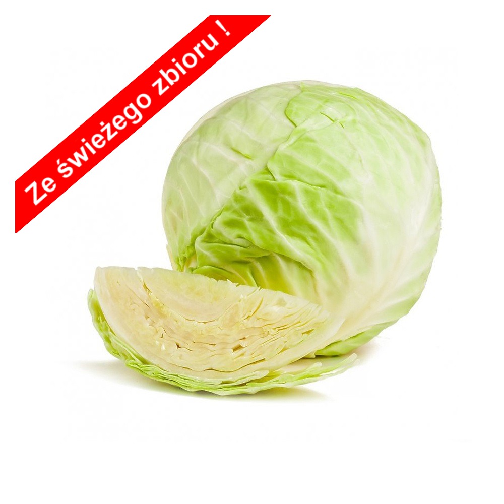 Kapusta biała ekologiczna 1szt (0,8kg-1,3kg) Kl. II