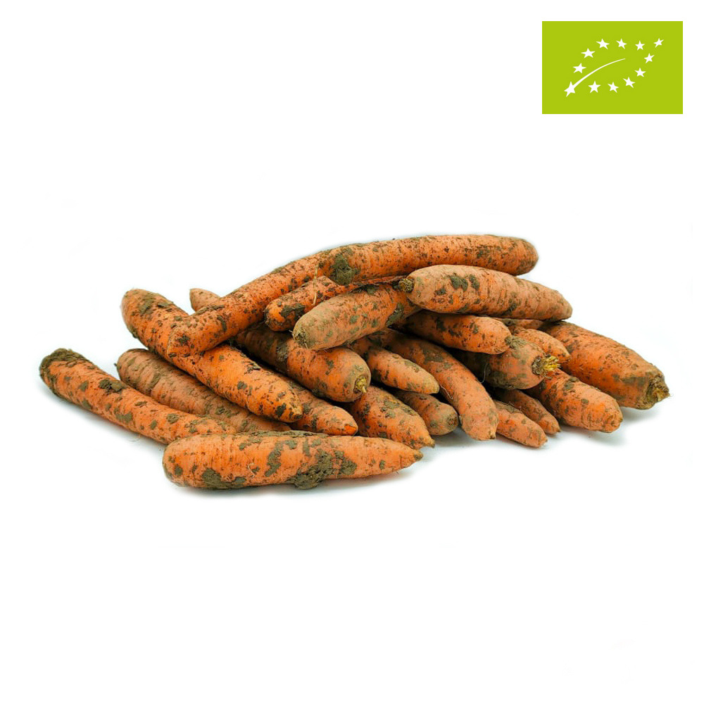 Marchew ekologiczna 10kg (niemyta)