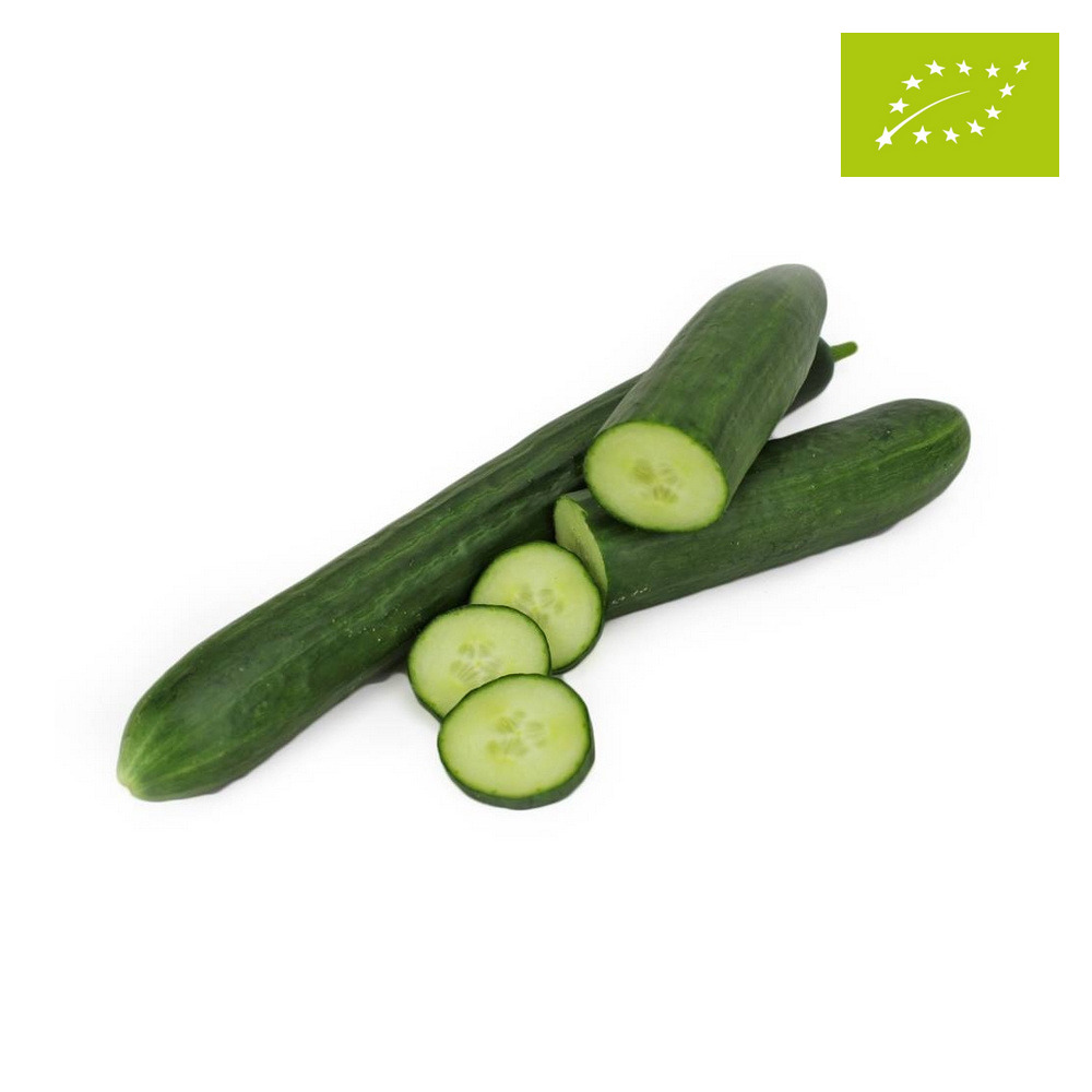 Ogórek długi ekologiczny 1 szt.