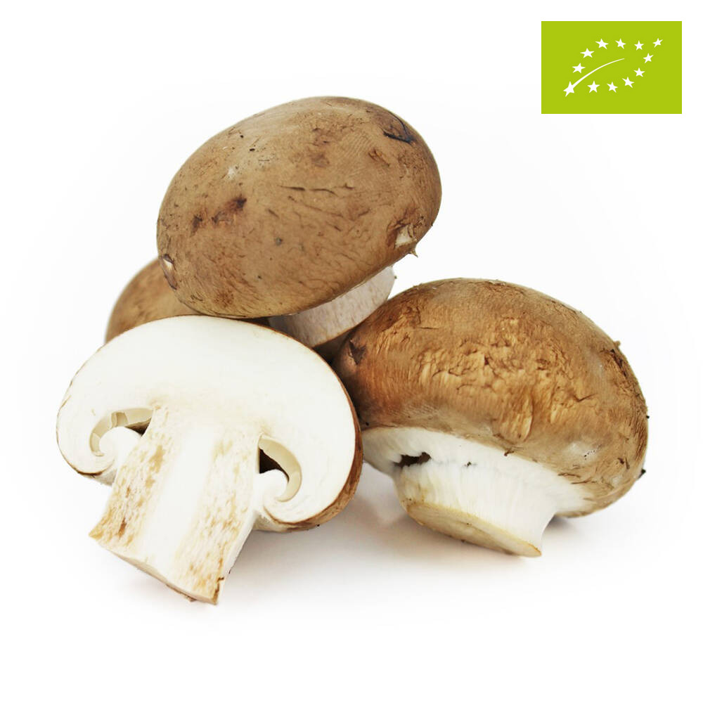 PIECZARKI BRĄZOWE ŚWIEŻE BIO (POLSKA) (około 0,25 kg)