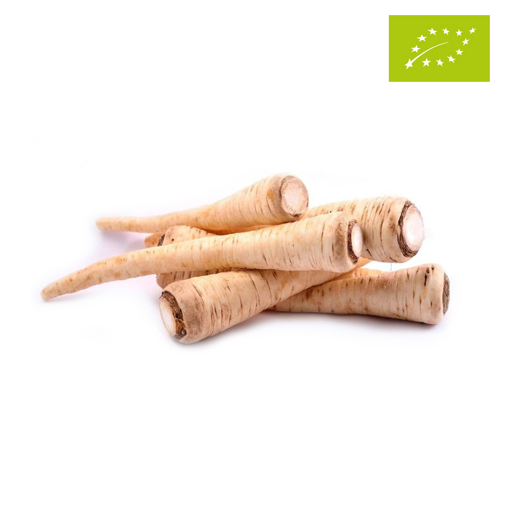Pietruszka korzeń ekologiczna 500 g (Klasa II)