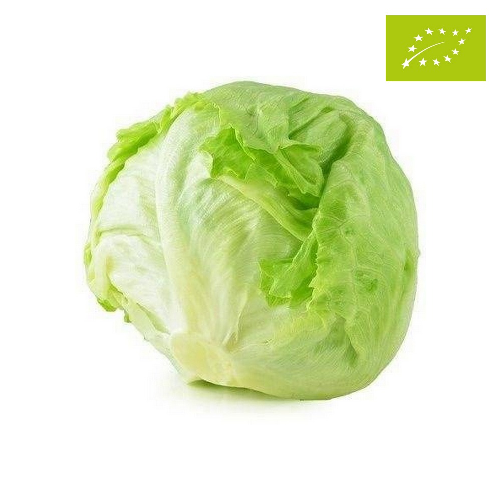 Sałata lodowa ekologiczna 1szt.