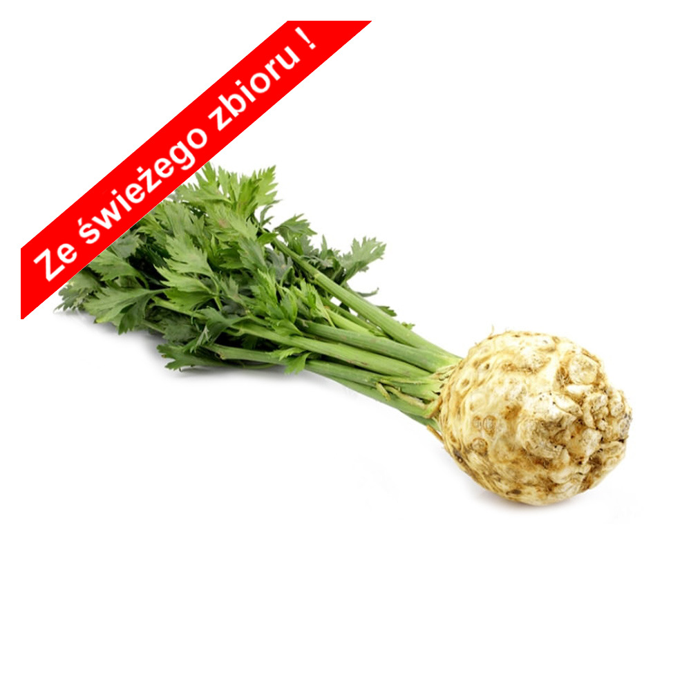 Seler z nacią ekologiczny ok. 200g