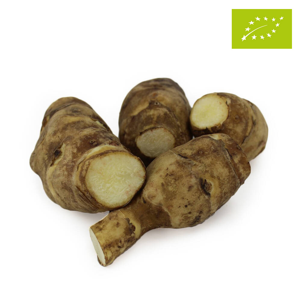 TOPINAMBUR ŚWIEŻY BIO (POLSKA) (około 0,50 kg)
