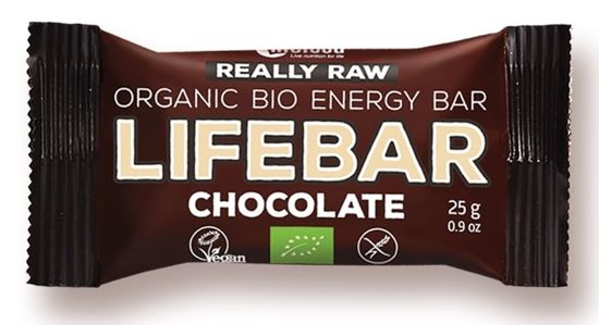 Baton daktylowo - orzechowy z czekoladą Raw bez dodatku cukrów bezg. Bio 25 g - Lifefood