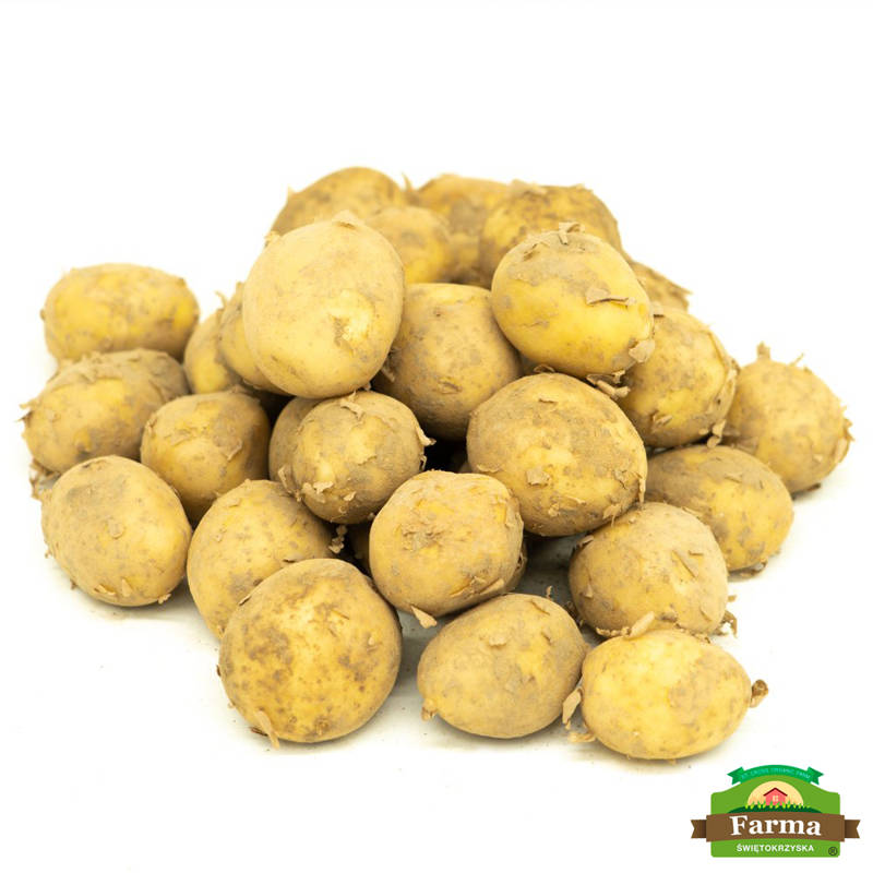 Bio ziemniaki żółte "drobne" 1kg