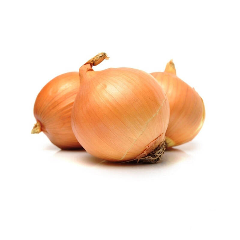 CEBULA ŻÓŁTA ŚWIEŻA BIO (około 1,00 kg)