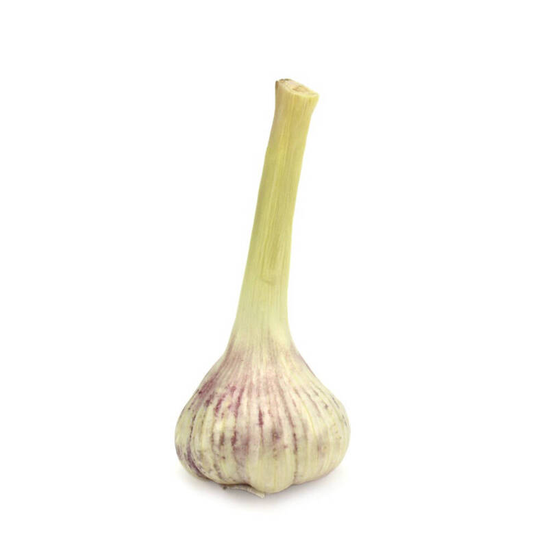CZOSNEK ŚWIEŻY BIO (POLSKA) (około 100 g)
