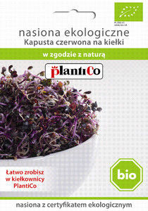 Nasiona na kiełki kapusty czerwonej Bio 10g - Plantico