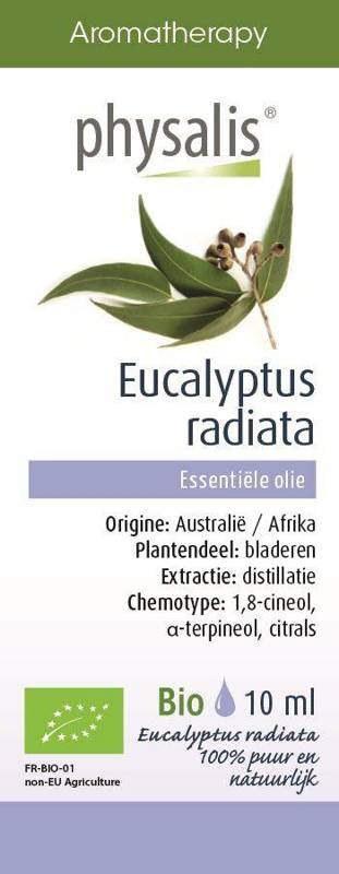 Olejek eteryczny eukaliptus australijski Bio 10ml - Physalis