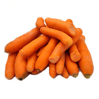 Marchew ekologiczna na sok 5kg