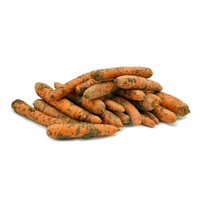 Marchew ekologiczna 10kg (niemyta)