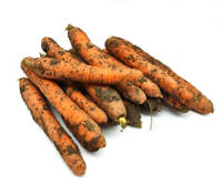 Marchew ekologiczna 3kg (niemyta)