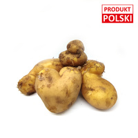 Ziemniaki ekologiczne żółte 1kg ''nieidealne''